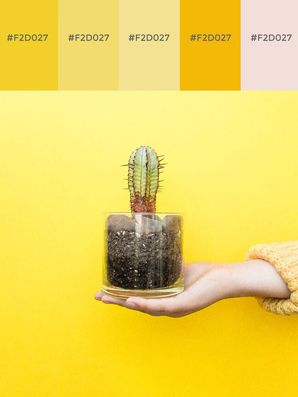 Trong thiết kế bao bì màu sắc ảnh ảnh hưởng trực tiếp đến cảm xúc 10 | KALAPRESS.VN
