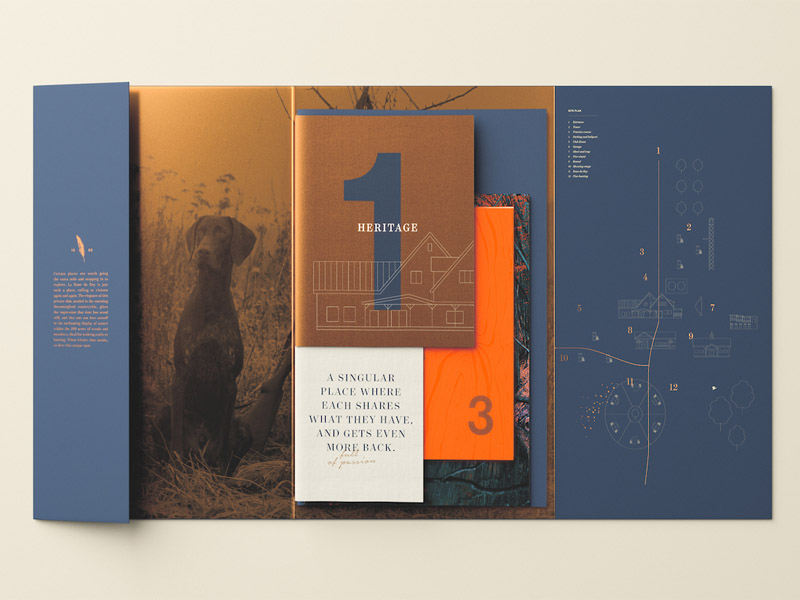 Trend ý tưởng thiết kế brochure ấn tượng năm 2021 01 | KALAPRESS.VN